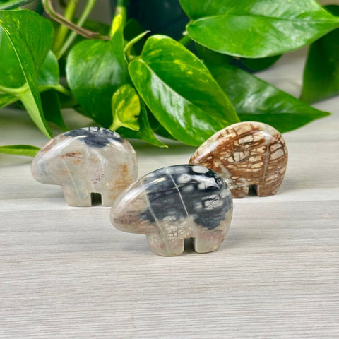 Picasso Jasper Bear Micro 2 - Kenna's Crystals from TikTok