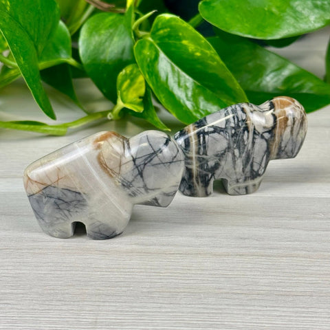 Picasso Jasper Bison 44 1 - Kenna's Crystals from TikTok