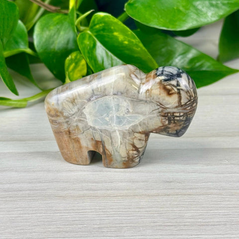 Picasso Jasper Bison 66 2 - Kenna's Crystals from TikTok