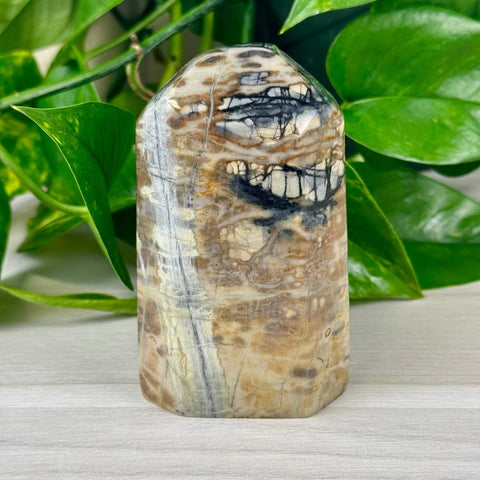 Picasso Jasper Free Form 22 1 - Kenna's Crystals from TikTok