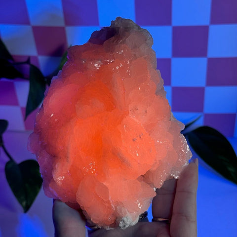 Pink Calcite Specimen H 9 - Kenna's Crystals from TikTok