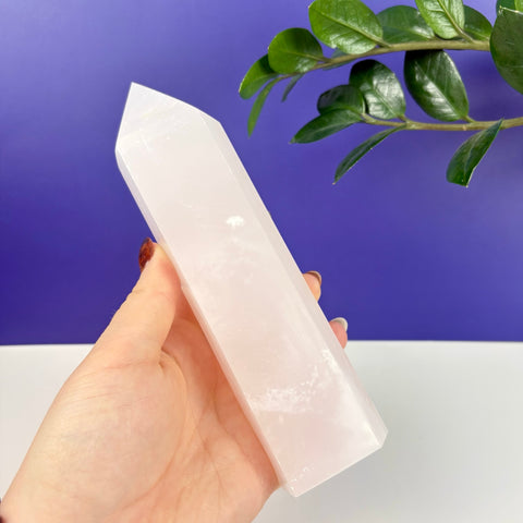 Hand holding a polished, translucent pink calcite crystal tower against a purple background.