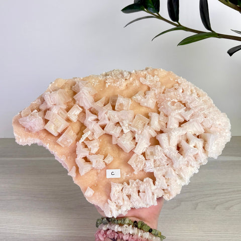 Pink Halite