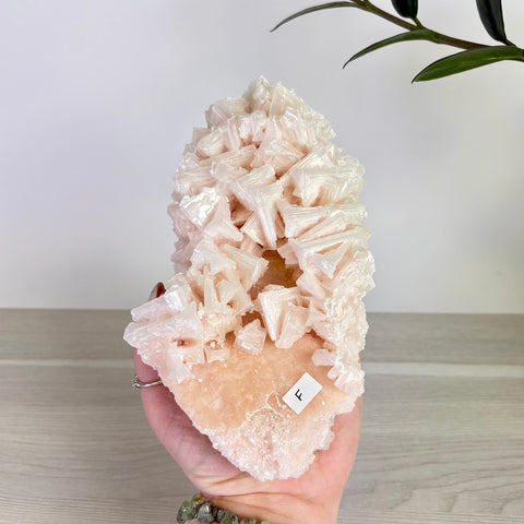 Pink Halite