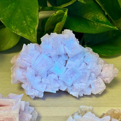 Pink Halite Specimen 144 23 - Kenna's Crystals from TikTok
