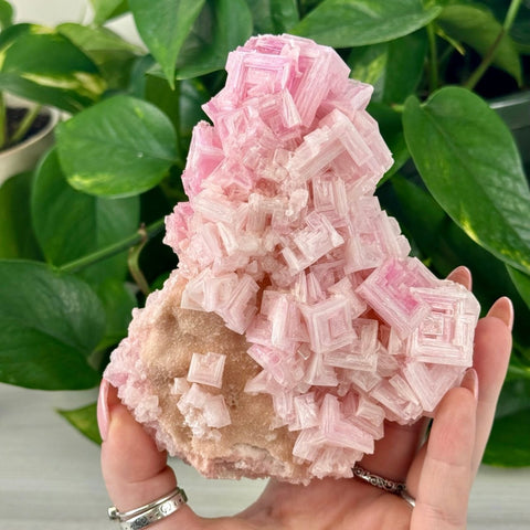 Pink Halite Specimen 144 20 - Kenna's Crystals from TikTok