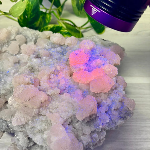 Pink Lantern Calcite A 4 - Kenna's Crystals from TikTok
