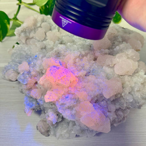 Pink Lantern Calcite A 3 - Kenna's Crystals from TikTok