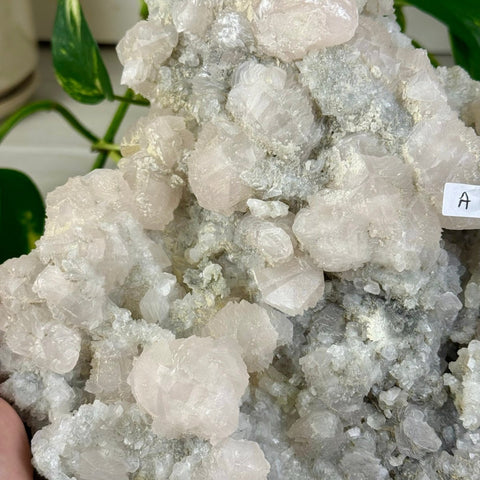 Pink Lantern Calcite A 6 - Kenna's Crystals from TikTok