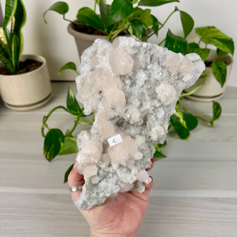 Pink Lantern Calcite C 8 - Kenna's Crystals from TikTok