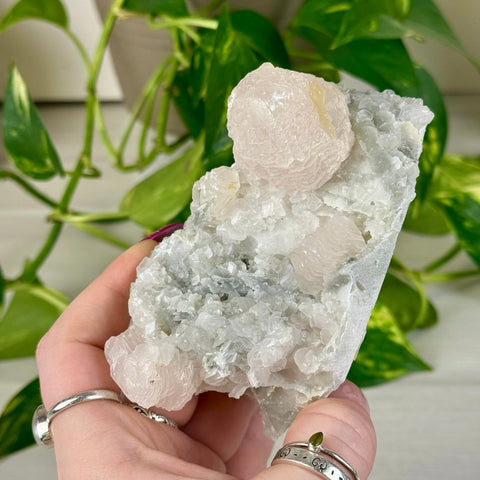Pink Lantern Calcite M 18 - Kenna's Crystals from TikTok
