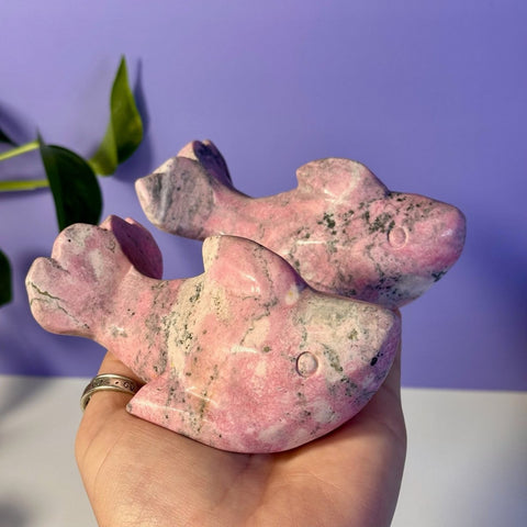 Pink Rhodonite Shark Deep Pink 2 - Kenna's Crystals from TikTok
