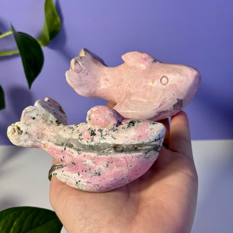 Pink Rhodonite Shark Light Pink 3 - Kenna's Crystals from TikTok