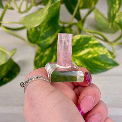 Pink Tourmaline B 2 - Kenna's Crystals from TikTok