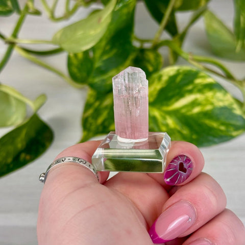 Pink Tourmaline C 3 - Kenna's Crystals from TikTok