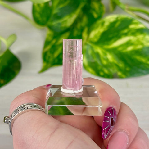 Pink Tourmaline E 5 - Kenna's Crystals from TikTok
