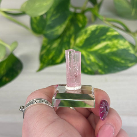 Pink Tourmaline F 6 - Kenna's Crystals from TikTok