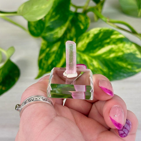 Pink Tourmaline J 10 - Kenna's Crystals from TikTok