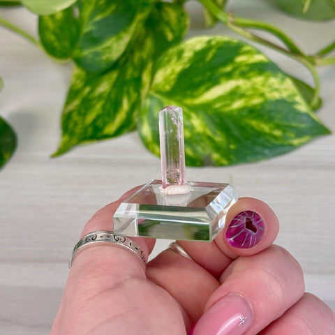 Pink Tourmaline K 11 - Kenna's Crystals from TikTok