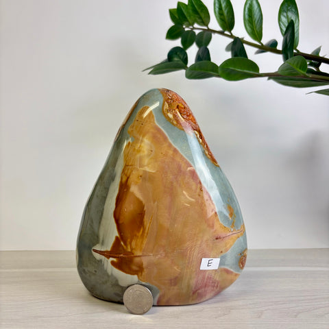 Polychrome Jasper Free Form