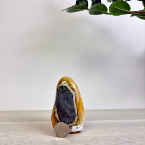 Polychrome Jasper Free Form