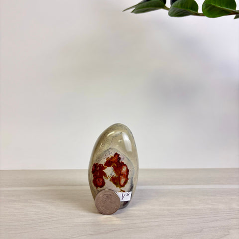 Polychrome Jasper Free Form