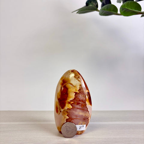 Polychrome Jasper Free Form