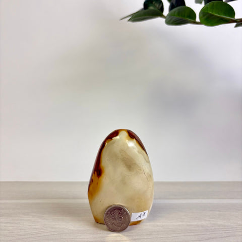 Polychrome Jasper Free Form