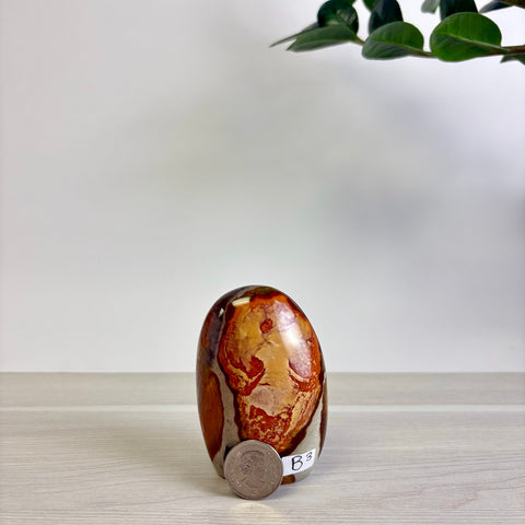 Polychrome Jasper Free Form