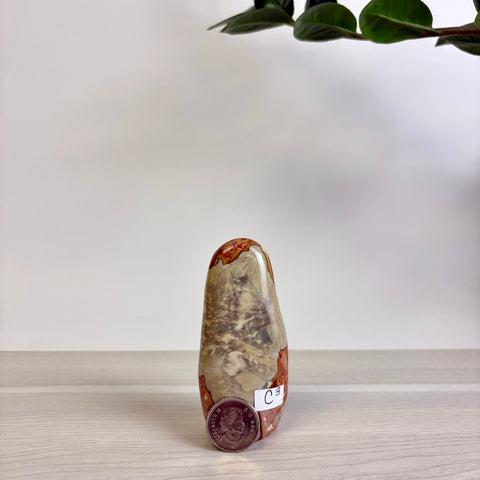 Polychrome Jasper Free Form