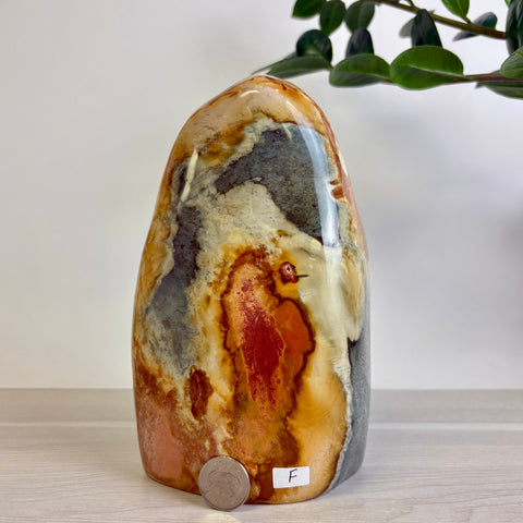 Polychrome Jasper Free Form