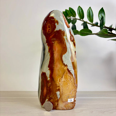 Polychrome Jasper Free Form