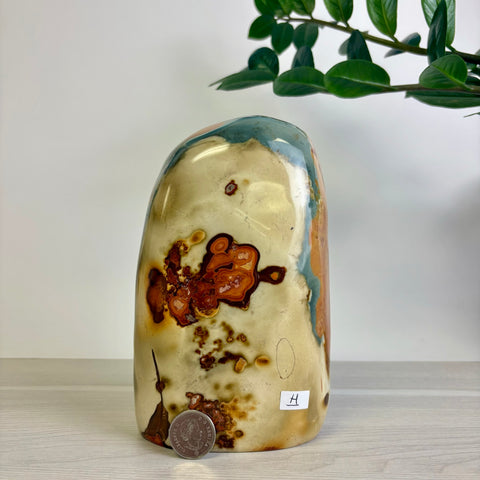 Polychrome Jasper Free Form