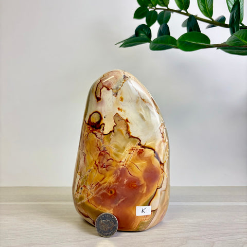 Polychrome Jasper Free Form