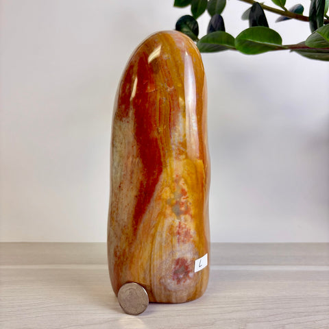 Polychrome Jasper Free Form