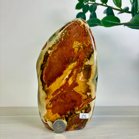 Polychrome Jasper Free Form