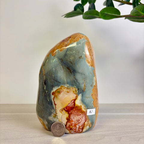 Polychrome Jasper Free Form
