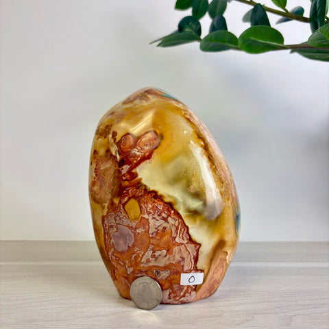 Polychrome Jasper Free Form