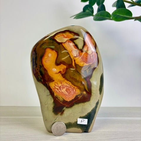 Polychrome Jasper Free Form