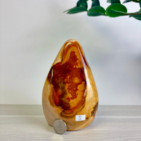 Polychrome Jasper Free Form