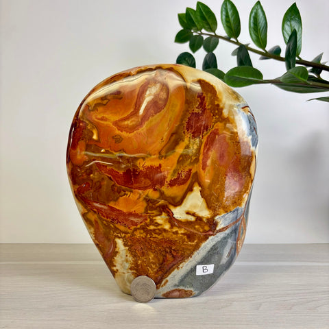 Polychrome Jasper Free Form