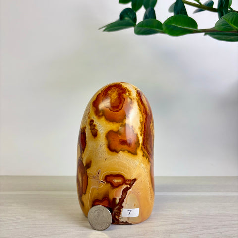 Polychrome Jasper Free Form