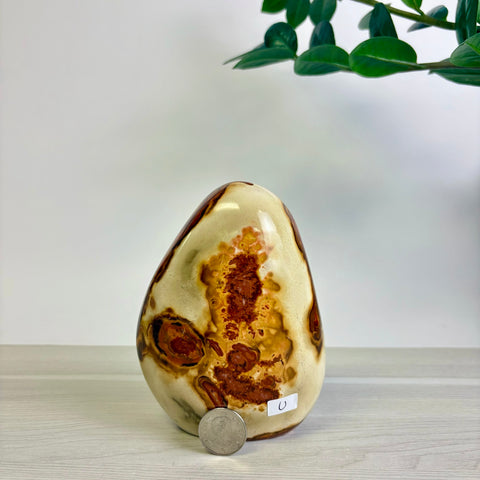 Polychrome Jasper Free Form