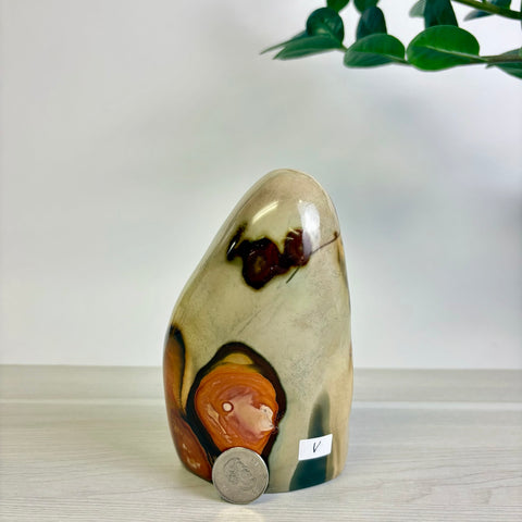 Polychrome Jasper Free Form