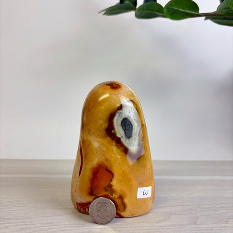 Polychrome Jasper Free Form