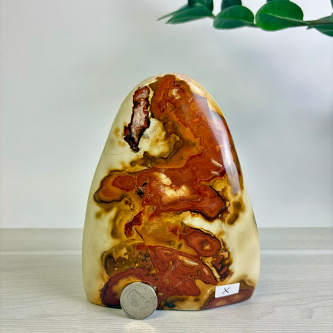 Polychrome Jasper Free Form