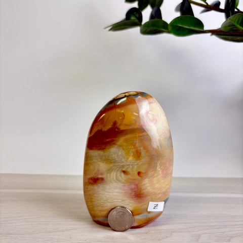 Polychrome Jasper Free Form