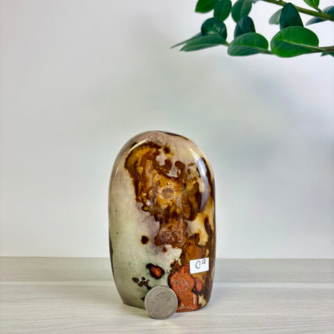 Polychrome Jasper Free Form