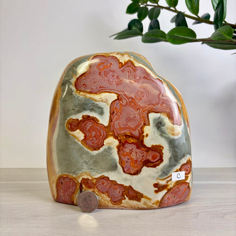 Polychrome Jasper Free Form