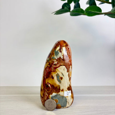 Polychrome Jasper Free Form